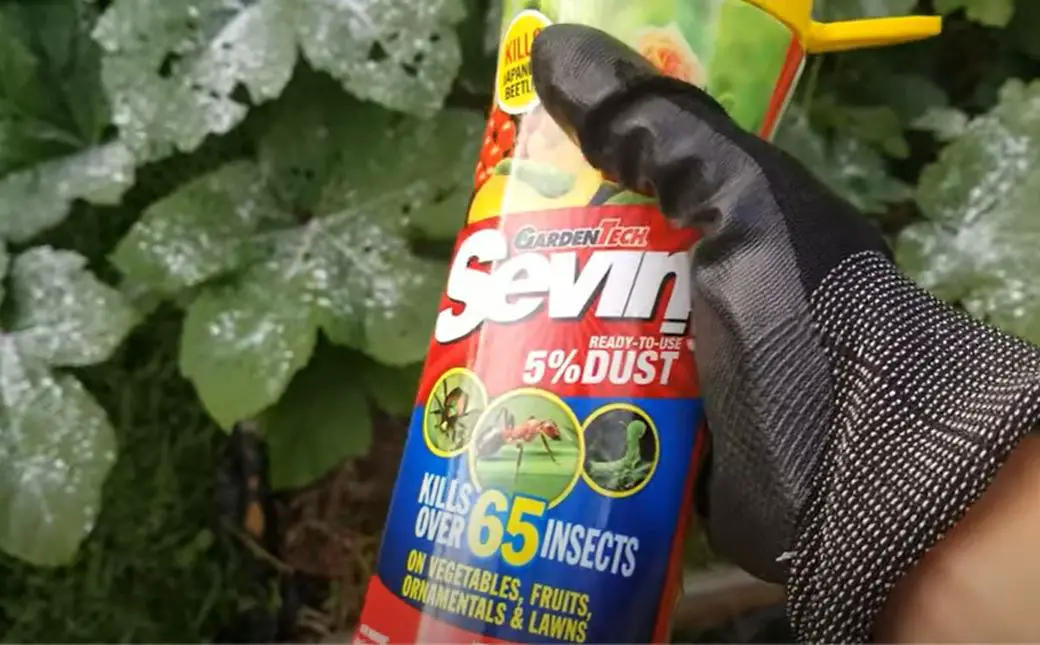 is-sevin-dust-harmful-to-humans-a-practical-answer-pro-garden-expert